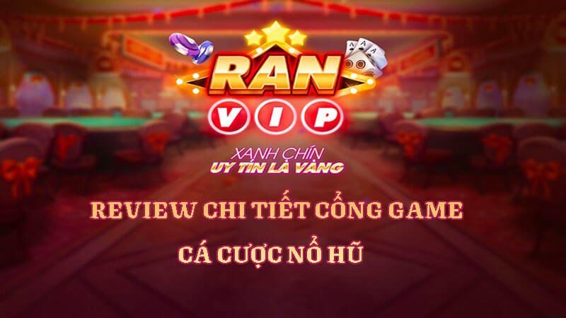 Cổng cược sở hữu giao diện tinh tế và thiết kế đồ họa ấn tượng 